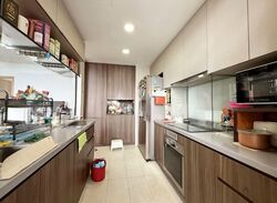 Parc Life (D27), Condominium #566554171